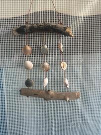 Legno marato e conchiglie