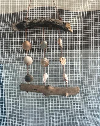 Legno marato e conchiglie