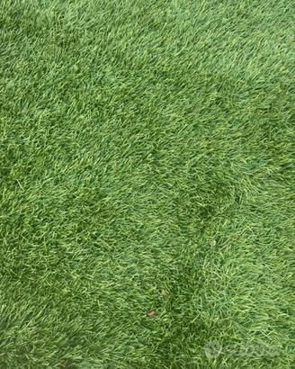 Rotolo erba sintetica