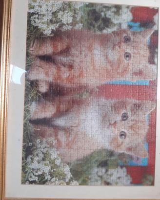 Quadro