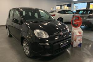 Fiat Panda 1.0 Benzina Hybrid City Life
