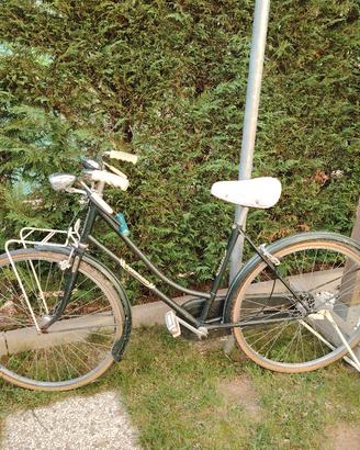 Biciclette Torpado donna 