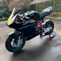 Minigp GRC 10 pollici