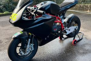 Minigp GRC 10 pollici