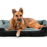 Cuscino Cuccia per cani divano Taglia XL 90X70 cm