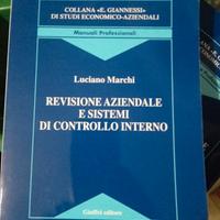 Revisione aziendale e sistemi di controllo interno