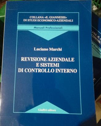 Revisione aziendale e sistemi di controllo interno
