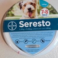 collare cani taglia piccola 