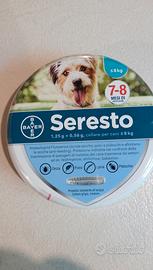 collare cani taglia piccola 