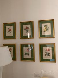 Stampe floreali