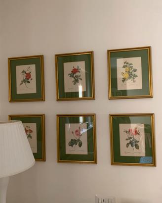 Stampe floreali