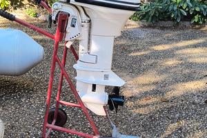 Johnson 15 hp + LED 3