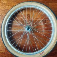 ruota bicicletta 