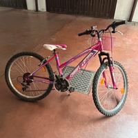 Bicicletta Infinity Mountain Lady 24
