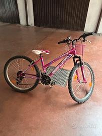 Bicicletta Infinity Mountain Lady 24