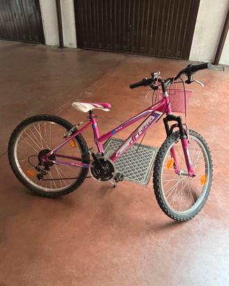 Bicicletta Infinity Mountain Lady 24