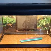 Acquario 60 litri