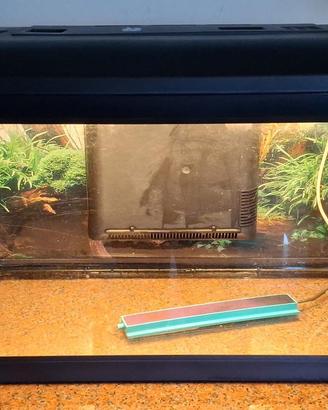Acquario 60 litri