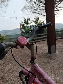 Bicicletta bambina 