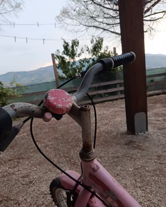 Bicicletta bambina 