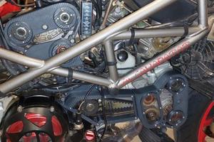 Carter cinghie ducati