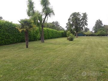 Terreno agricolo