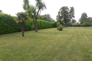 Terreno agricolo