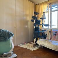 Tiragraffi  molto bello