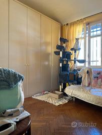 Tiragraffi  molto bello