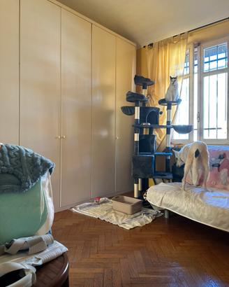 Tiragraffi  molto bello