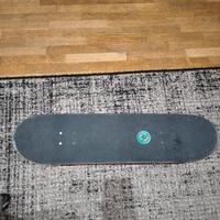 Skateboard DARKSTAR