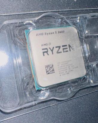 AMD Ryzen 5 3600