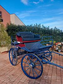 Carrozza maratona 4 posti
