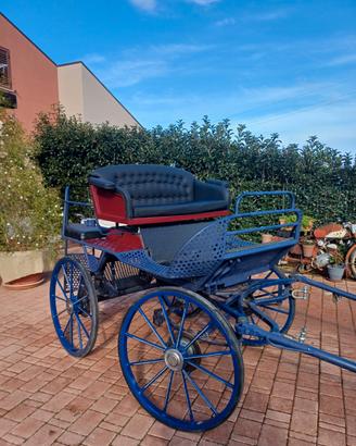 Carrozza maratona 4 posti