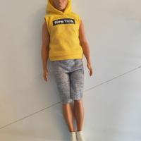 Barbie Ken Fashionistas