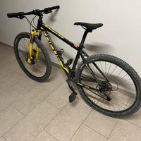 MTB FOCUS 29