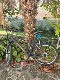 Mtb 26