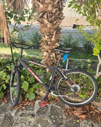 Mtb 26