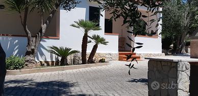 Vieste villetta trilocale dal 8 al 22 agosto