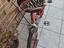 Immagine 3