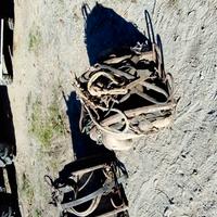 Basto per mulo cavallo