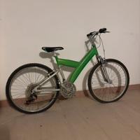 Bicicletta Pininfarina Verde/Argento