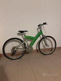 Bicicletta Pininfarina Verde/Argento