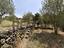 Immagine 26