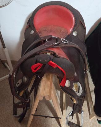 Sella americana Jc seggio 17 quorter