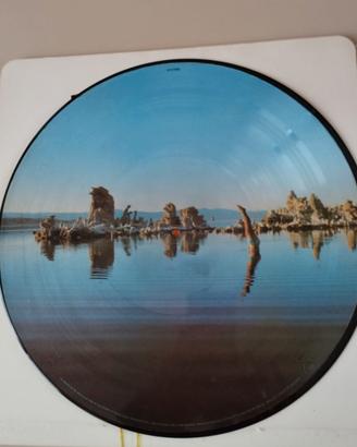 PINK FLOYD.  LP WISH YOU WERE HERE - PICTURE DISC