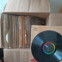 lotto lp danneggiati 