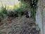 Immagine 18