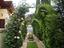 Immagine 11