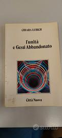 L'unità e Gesù abbandonato 